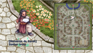 Senhor Irene2.png